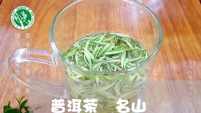 普洱茶 名山/2023042901451